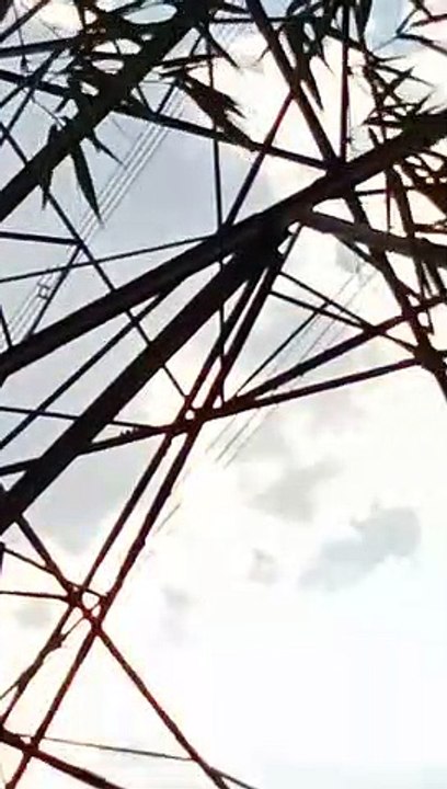 Video Story: Father scolded for eating food slowly, angry youth climbed on high tension line tower