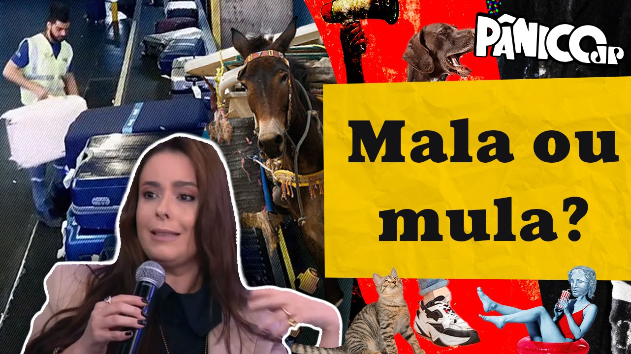 DELEGADA ANALISA CASO DA TROCA DE BAGAGENS NO AEROPORTO: “COLOQUEM ETIQUETA E PERSONALIZEM AS MALAS”