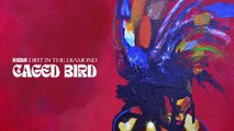 Jords - Caged Bird (Visualiser)