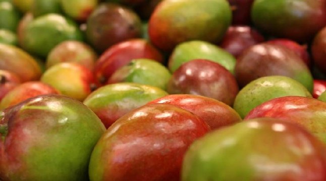 Algunas frutas y verduras bajarán de precio en Colombia