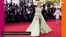 Festival de Cannes 2023 : Sylvie Tellier éblouissante avec des extensions, Lena Situations radieuse loin des polémiques