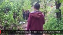 Batman'da sağanak ve dolu yağışı hayatı olumsuz etkiledi