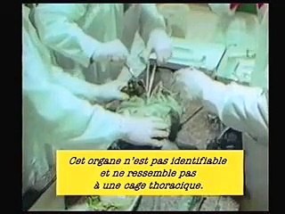 Dossiers secret OVNI du KGB présenté par Roger Moore