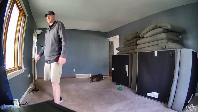 Chien utilement éloigne le pet