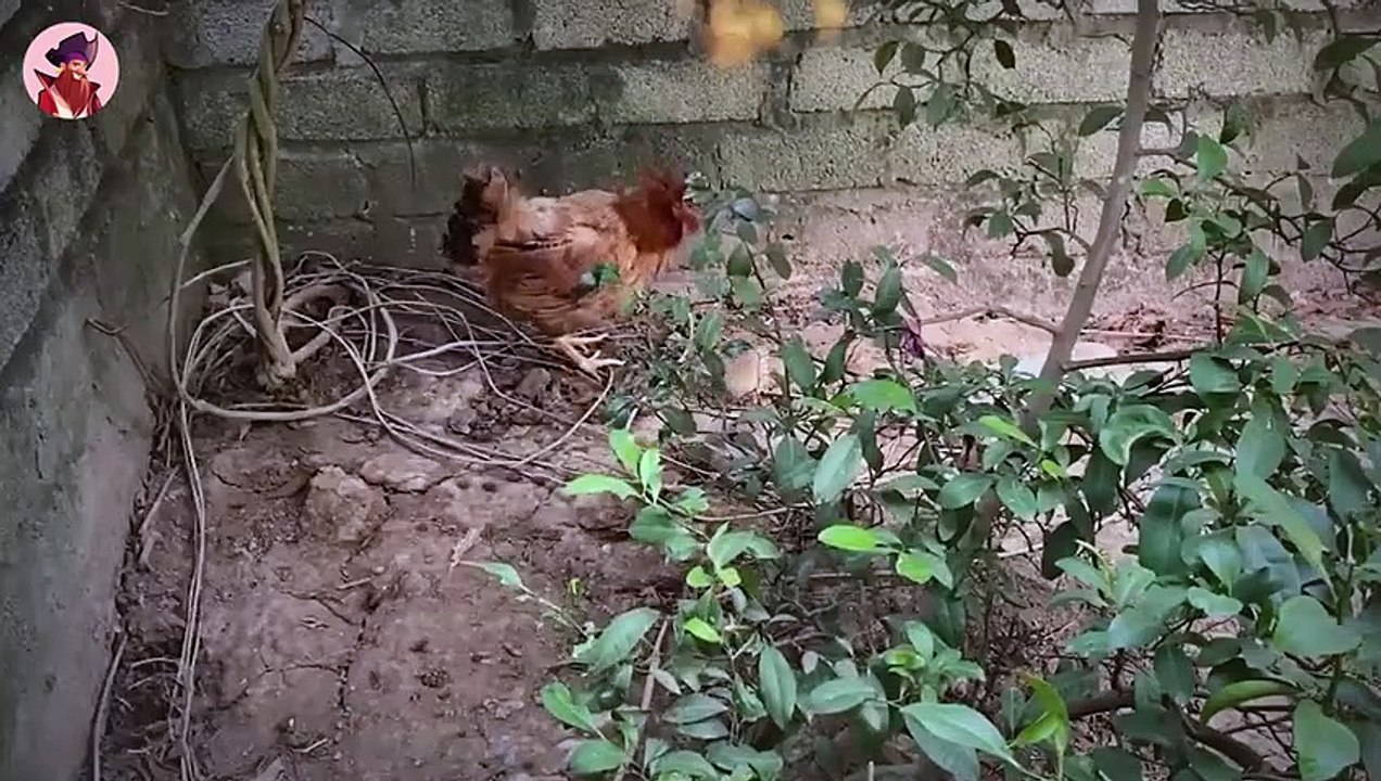 15 Momente, in denen Raubtieren bereuen sich mit ihrer Beute angelegt zu haben