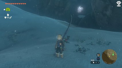 Ours Zelda Tears of the Kingdom : Où trouver l'ours empereur sur la carte pour en faire votre monture ?