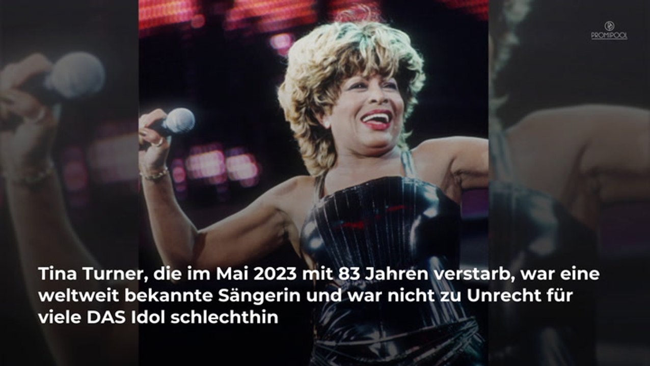 Tina Turners Männer: Sie waren mit der Sängerin zusammen