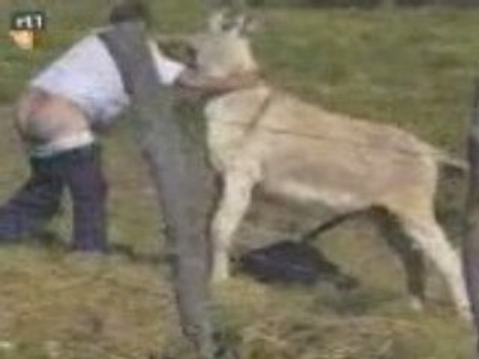 Faces Of Death - Donkey rapes a guy - video Dailymotion