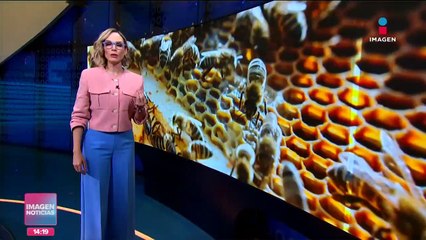 Accidente en la Autopista del Sol deja 9 muertos