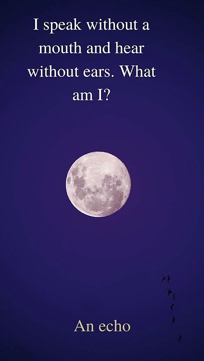 Learn riddles with the answer and have fun with friends Riddles Quiz - Part 3