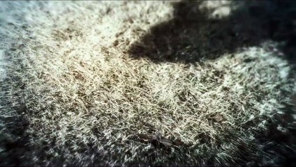 ミンナのウタ | movie | 2023 | Official Teaser