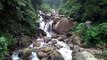 একবার হলেও এরকম জায়গা থেকে ঘুরে আসুন মন ভালো হয়ে যাবে #Dargerling best view/dargeeling road view/#best tourest place/best waterfalls in dargeeling/cold tour place/kashmir/top best tour place /wonderplace