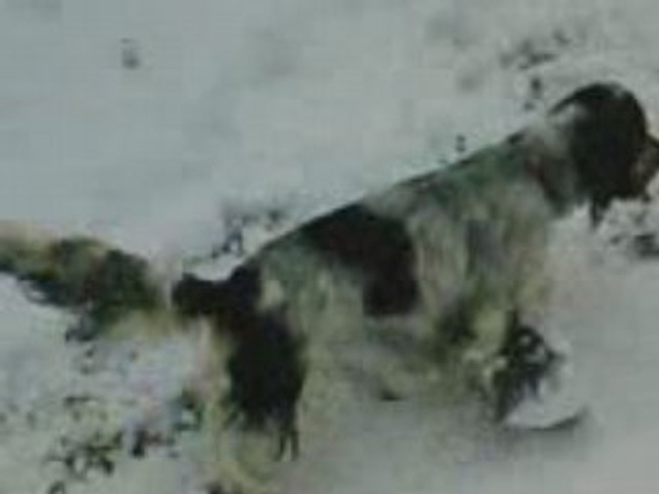 24 MARS 2008 LUGE