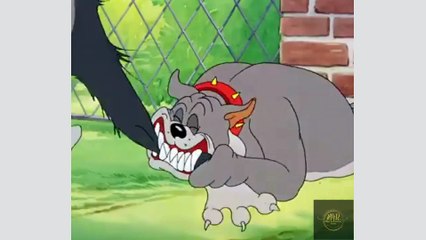 Step Into an Imaginative Universe Where Toys Come to Life, Embarking on Adventures. ENJOY!