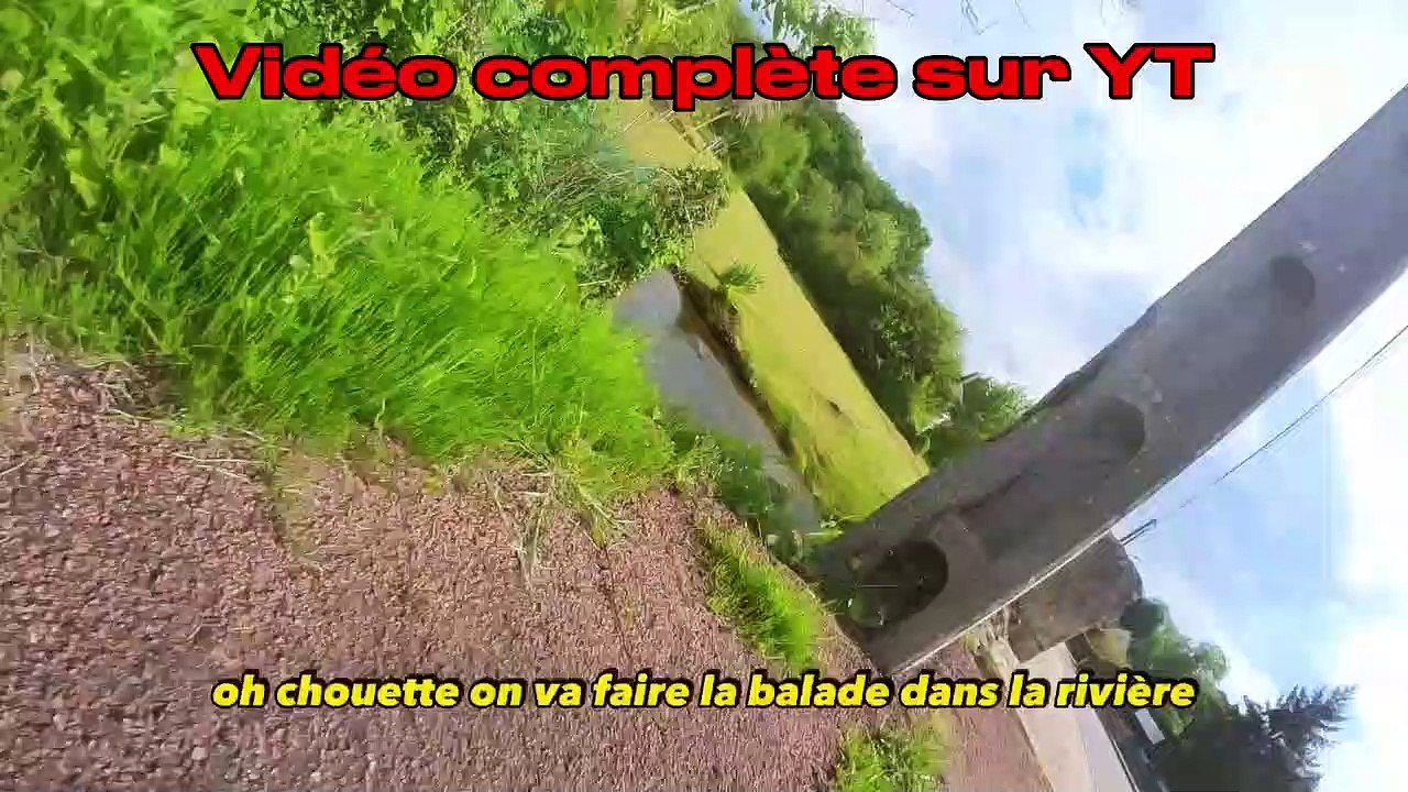 Petit extrait du concept " Dans les pattes de..."