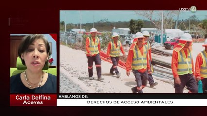 Derechos de acceso ambientales: Carla Delfina Aceves