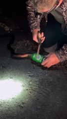 Man Saves Snake Stuck in Can