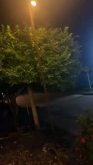 Sísmico sacudió fuertemente Necoclí