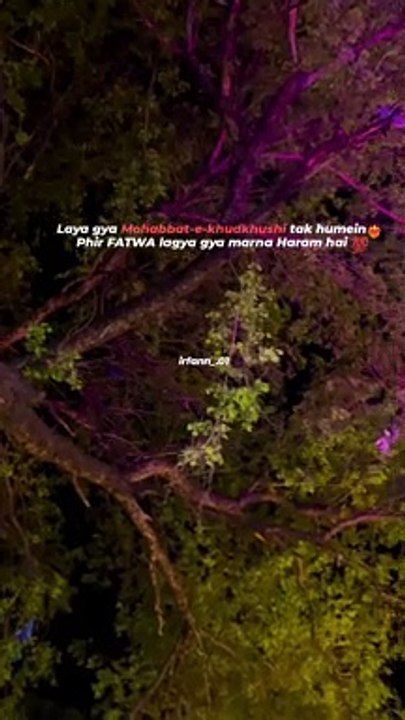 Laya gya Mohabbat-e-khudkhushi tak humein❤‍ Phir FATWA lagya gya marna Haram hai