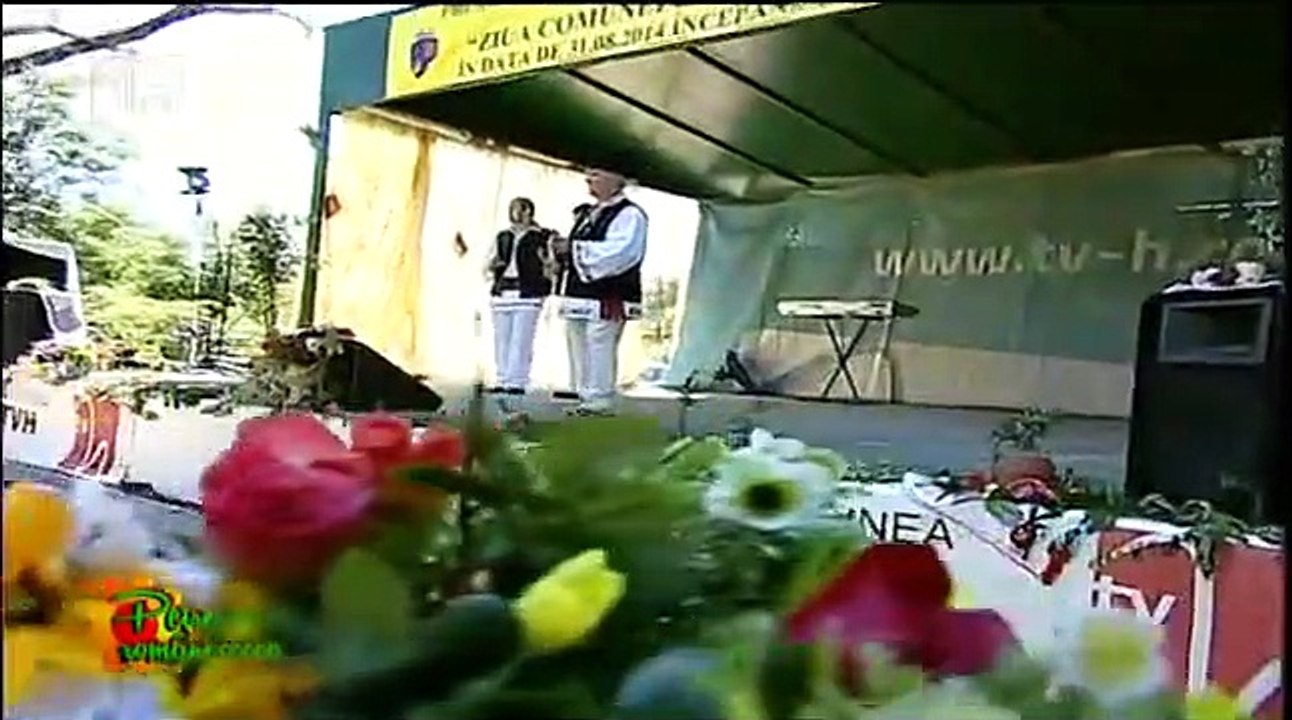 Stelian Hristea - Pe carare sub un brad (Ziua comunei Independenta, judetul Calarasi - Tvh - 13.09.2014)