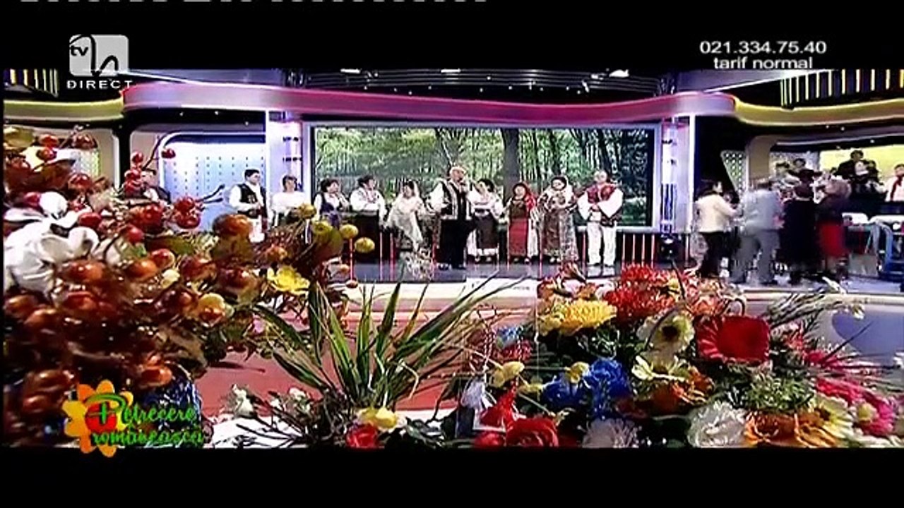 Nelu Balasoiu - Tu, mama cand m-ai facut (Petrecere romaneasca - Tvh - 08.03.2015)