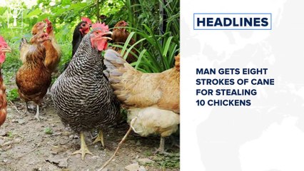 I plan to be as far away from Abuja as possible – Buhari and more