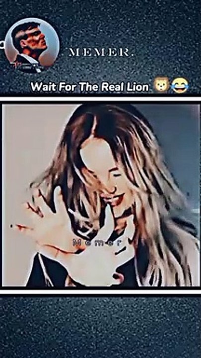 It's a real lion 