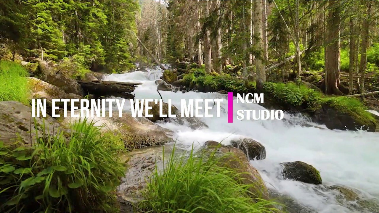 In Eternity We'll Meet - Aakash Gandhi  Ambient Music, Bright Music, Sorrow Music, Indian Music