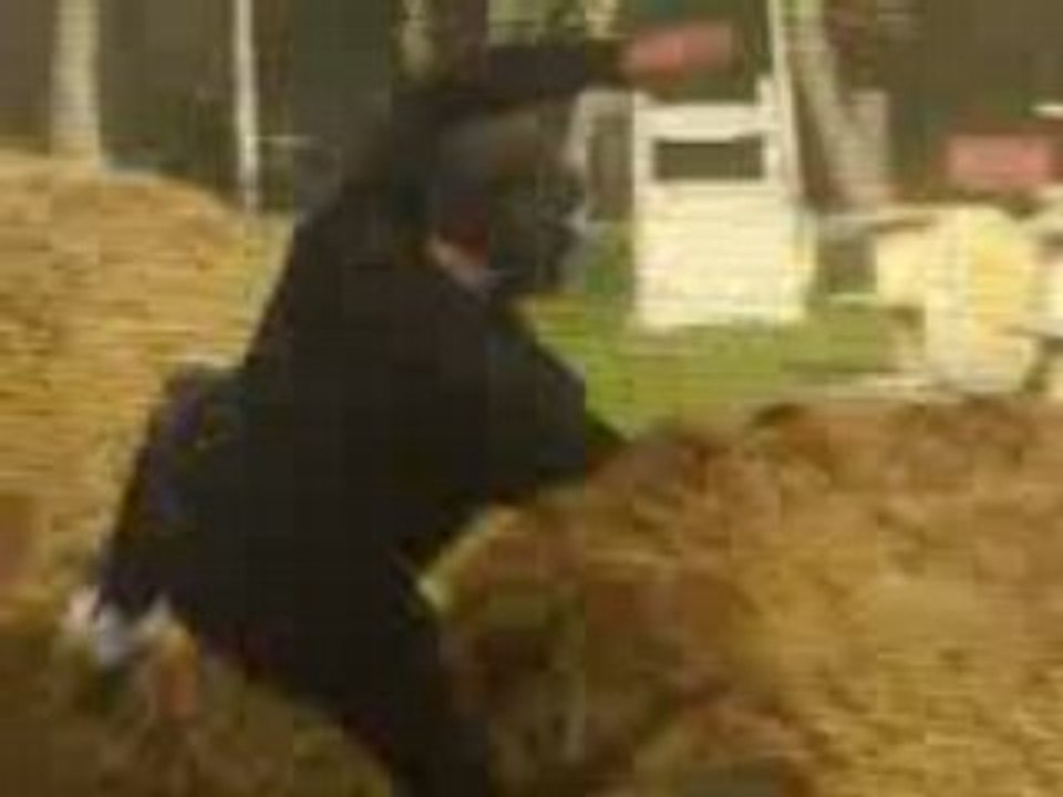 le lapin
