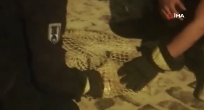 Kafası konserve kutusuna sıkıştı, itfaiye kurtardı