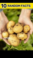 10 Random Facts #tiktoknow #foryoupage #interestingfact #foodfact #mindblownfacts #randomfact #funfact #factvideo #facts #didyouknow #factwyk #foryou