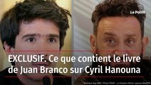 EXCLUSIF. Ce que contient le livre de Juan Branco sur Cyril Hanouna