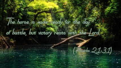 Proverbs 21:31 | Plan and Trust God