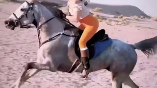 Tumse Milke Dil Ka | Main Hoon Na | Horse Riding #reels #shortvideo