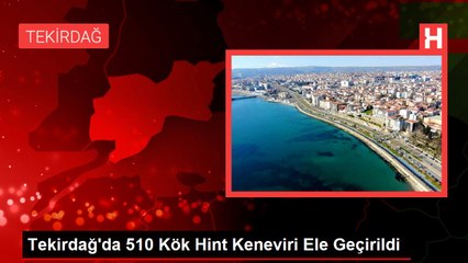 Tekirdağ'da 510 Kök Hint Keneviri Ele Geçirildi