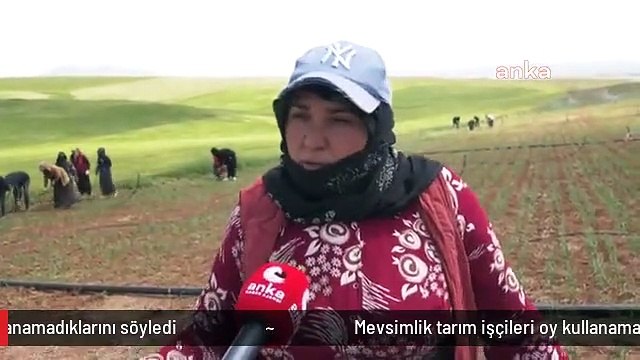 Mevsimlik tarım işçileri oy kullanamadıklarını söyledi