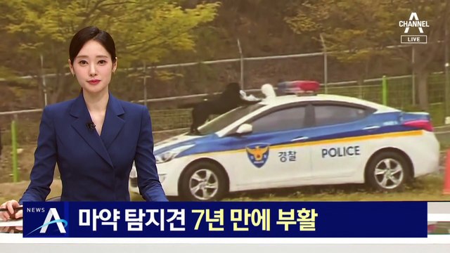 마약 탐지견 7년 만에 부활…희미한 냄새도 못 속여