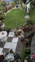 Hibs fans heard singing Sunshine On Leith