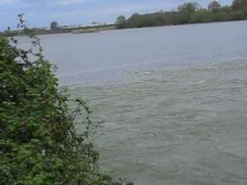 Sainte-Luce sur Loire : Bellevue (5)