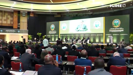 #NSS23_ African leaders and political activists share their views on foreign interference in Africa