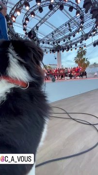 L'ex d'Alessandra Sublet, Jordan Deguen, présent lors de son passage dans C à vous à Cannes - France 5