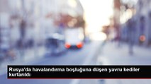 Rusya'da havalandırma boşluğuna düşen yavru kediler kurtarıldı