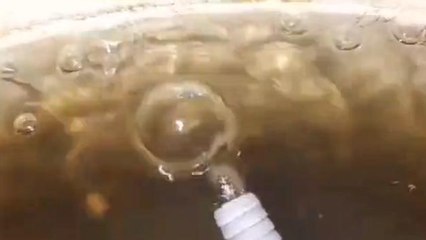 सतना: बदबूदार पानी पीने को मजबूर है रहवासी