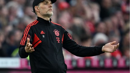 Bayern München im Transfer-Fieber: Können sie Weltmeister Julián Alvarez verpflichten?