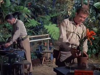 Viagem ao Fundo do Mar Terror 1967 Dublado