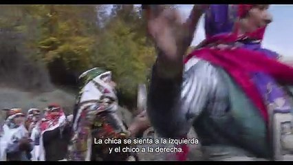 Los osos no existen Tráiler VOSE