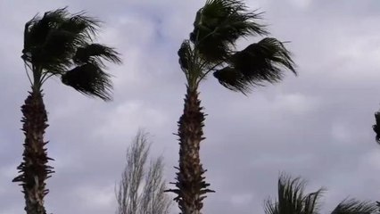 জামাইষষ্ঠীতে বজ্রপাত-দমকা ঝোড়ো হাওয়া! কী জানালো হাওয় অফিস- See