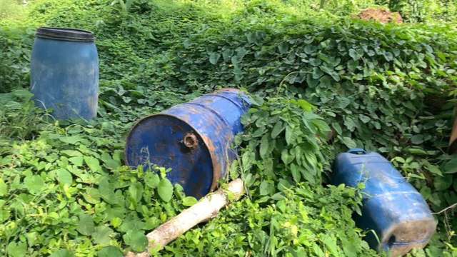 Campesinos de Unguía buscan dejar atrás la coca y cultivar productos agrícolas