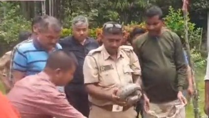 ভুটান সীমান্ত এলাকার লোকালয়ে থেকে প‍্যাঙ্গোলিন উদ্ধার, চাঞ্চল্য এলাকায়