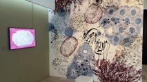 Musée Chagall - Nice - Exposition 2023 - Frédéric Boyer et Serge Bloch